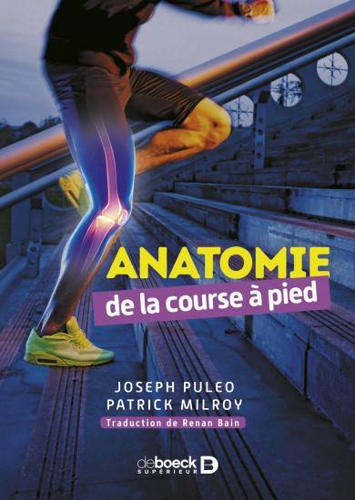 Anatomie De La Course À Pied