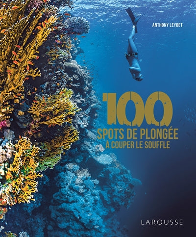 100 Spots De Plongée À Couper Le Souffle